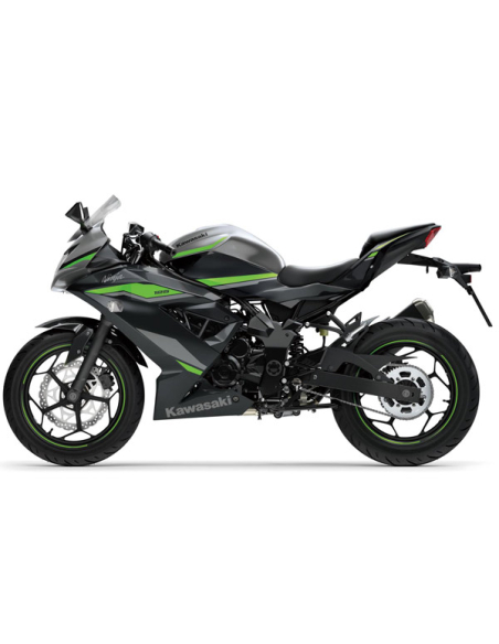 Kawasaki Ninja125