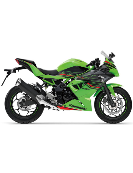 Kawasaki Ninja125