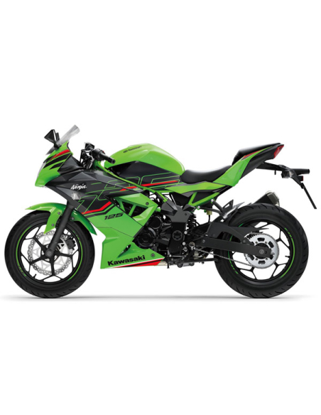Kawasaki Ninja125