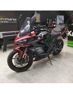 Kawasaki Ninja 1000 SX 2