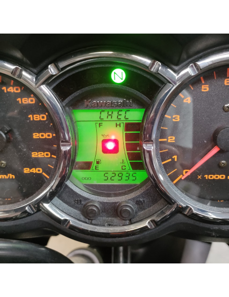 Kawasaki KLV1000