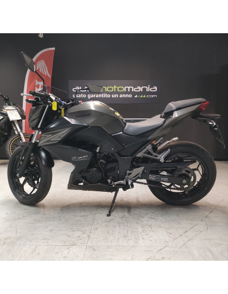 Kawasaki Z300 ABS