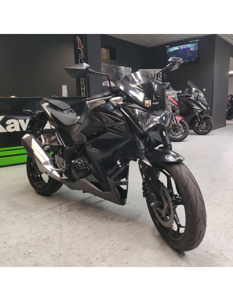 Kawasaki Z300 ABS