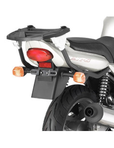Kawasaki ER 5 500 (01 al 07)