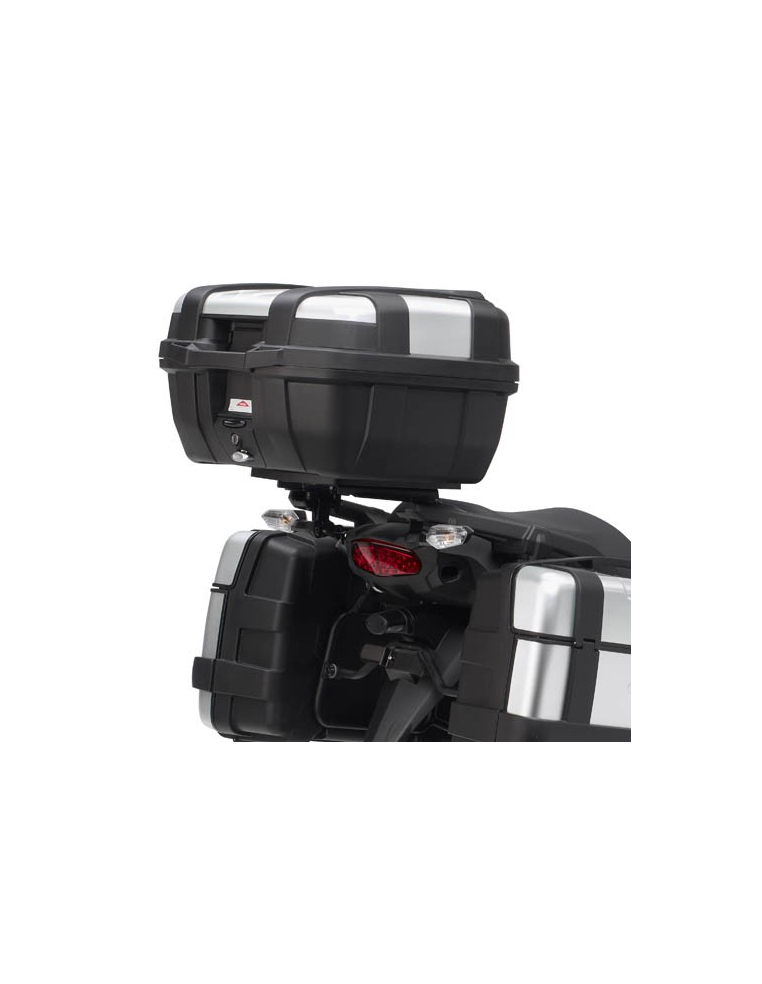 Kawasaki Versys 1000 (12 al 13)