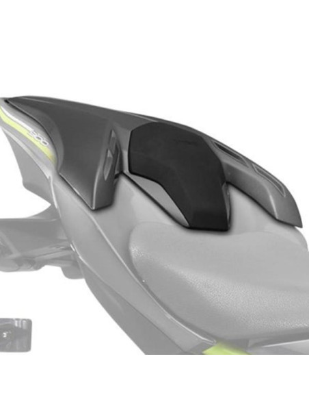 Coprisella posteriore Z900