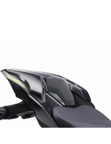 Coprisella posteriore Z900